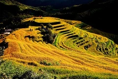 Yên Bai: Destination phare du Nord-Ouest