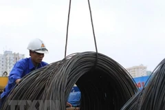 Défis pour l’acier et le fer vietnamiens