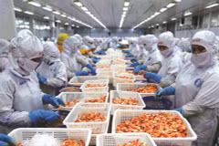 Le Vietnam, une nouvelle puissance agricole