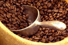 Le café Robusta du Vietnam à la conquête du marché japonais