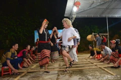 Tourisme : des journalistes étrangers visitent Nghe An