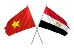 Le Vietnam et l'Egypte promeuvent le commerce et la connectivité des investissements