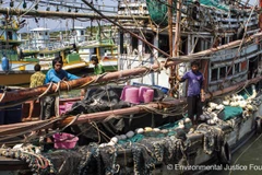 Pêche : la Commission européenne retire son « carton jaune » à la Thaïlande