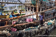 Pêche : la Commission européenne retire son « carton jaune » à la Thaïlande