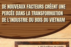 De nouveaux facteurs créent une percée dans la transformation de l’industrie du bois du Vietnam