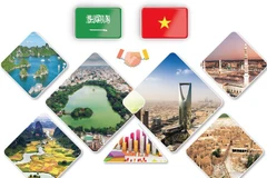 Promouvoir les relations de coopération Vietnam-Arabie saoudite 