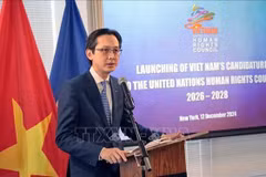Le vice-ministre des Affaires étrangères, Do Hung Viet, s'exprime lors de la cérémonie. Photo : VNA