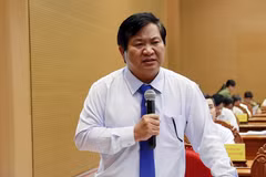 Le directeur du Département provincial de l'agriculture et du développement rural, Tran Van Phuc. Photo : baobinhdinh.vn