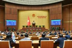 La Résolution approuvant l’option d'investissement dans le Programme cible national sur le développement de la culture pour la période 2025-2035 a été adoptée par l'Assemblée nationale le 27 novembre. Photo : VNA