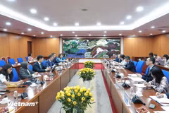 Le vice-ministre des Finances Vo Thanh Hung a eu une séance de travail avec Paulo Medas, chef de l'équipe de consultation de l'article IV du FMI à Hanoï le 26 juin. (Photo : BTC/VietnamPlus)