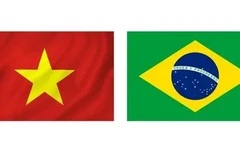 Le Vietnam et le Brésil ont officiellement établi des relations diplomatiques le 8 mai 1989. Photo : VietnamPlus