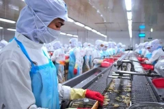 Produits aquatiques : cap sur 2025 avec confiance