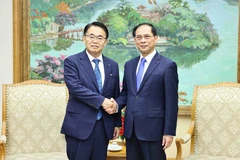 Le vice-PM et ministre des AE Bui Thanh Son (droite) reçoit le gouverneur de la préfecture japonaise d'Aichi Omura Hideaki. Photo: VNA