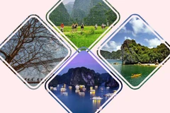 Quatre expériences intéressantes à faire lors d'un voyage au Vietnam