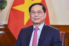 Le vice-Premier ministre et ministre des Affaires étrangères Bui Thanh Son. Photo: VNA