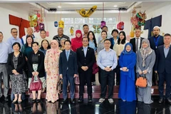 Les délégués participant au séminaire à Brunei. Photo: VNA