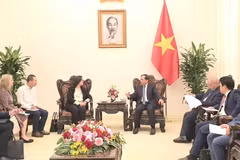 Le vice-Premier ministre et ministre des Affaires étrangères Bui Thanh Son reçoit Manuela V. Ferro, vice-présidente de la Banque mondiale (BM) pour l'Asie de l'Est et le Pacifique. Photo: VNA