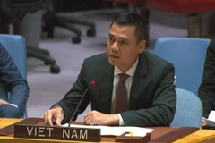 L'ambassadeur Dang Hoang Giang, chef de la Mission permanente du Vietnam auprès de l'ONU. Photo: VNA