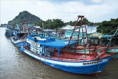 Des bateaux de pêche hauturière de Thanh Hoa. Photo: VNA