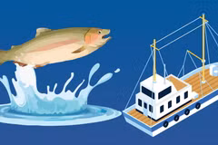 Faire du Vietnam un pays doté d’un développement de la pêche moderne et durable d’ici 2050