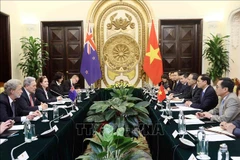 Panorama de la 2e réunion des ministres des Affaires étrangères Vietnam-Nouvelle-Zélande. Photo: VNA