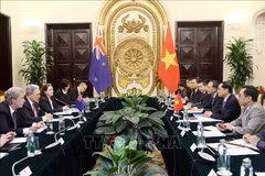 Panorama de la 2e réunion des ministres des Affaires étrangères Vietnam-Nouvelle-Zélande. Photo: VNA