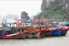 Des navires de pêche ancrés au port de Quang Ninh. Photo: VNA