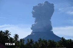 Le mont Ibu est entré en éruption le 13 mai. Photo: AFP/VNA