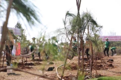 Programme de plantation d’arbres "Rêve des montagnes et forêts" pour un Vietnam vert