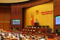 L’Assemblée nationale adopte deux Résolutions et une loi