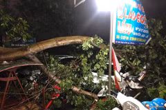 Des pluies torrentielles font un mort et 12 blessés dans les provinces du Nord