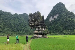 Cao Bang travaille avec des experts du Réseau mondial des Géoparcs