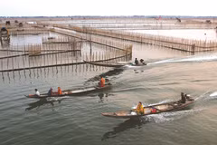 Thua Thiên-Huê : Entre terre et mer, le marais de Chuôn