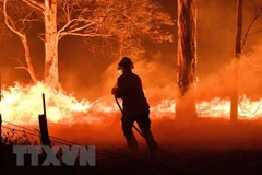 Message de sympathies à l'Australie pour les incendies de forêt