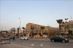 Les Vietnamiens en Égypte s’unissent au moment de la pandémie de COVID-19