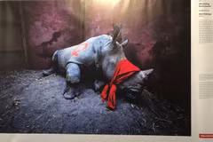Une exposition de photos de la presse mondiale 2020 s'ouvre à Hanoi