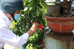 Hô Chi Minh-Ville : vigilance de mise en période de dengue