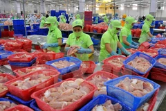 Forte hausse des exportations de produits agricoles et aquatiques aux Pays-Bas 