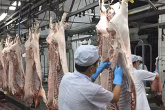 Dynamiser les exportations nationales de viande porcine