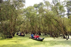 Les destinations attrayantes de la province d’An Giang