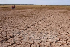 Le retour du phénomène El Niño
