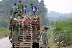 Le Vietnam s’intéresse toujours à la réduction durable de la pauvreté