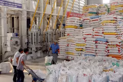Appel d'offres du Bangladesh pour l'importation de riz