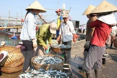 Formosa : achèvement fondamental de l’indemnisation des habitants sinistrés 