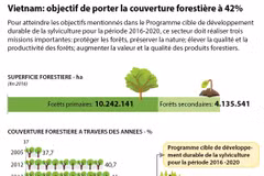 Vietnam: objectif de porter la couverture forestière à 42%