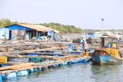 Voyage au village des huîtres de Long Son