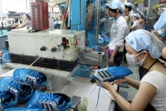 Cuir et chaussures : priorité à la production de matières premières