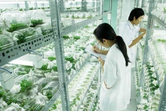 Hautes technologies – tendance inéluctable de l’agriculture moderne