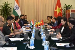 Dialogue stratégique et réunion de consultation politique Vietnam-Inde 