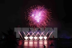Ouverture du Festival international des feux d'artifice de Dà Nang